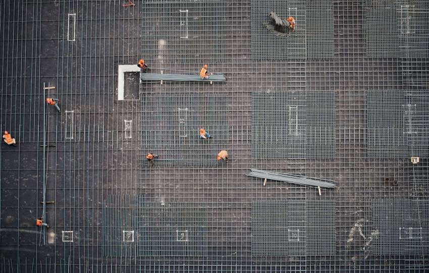 aerial photo of people in park at daytime